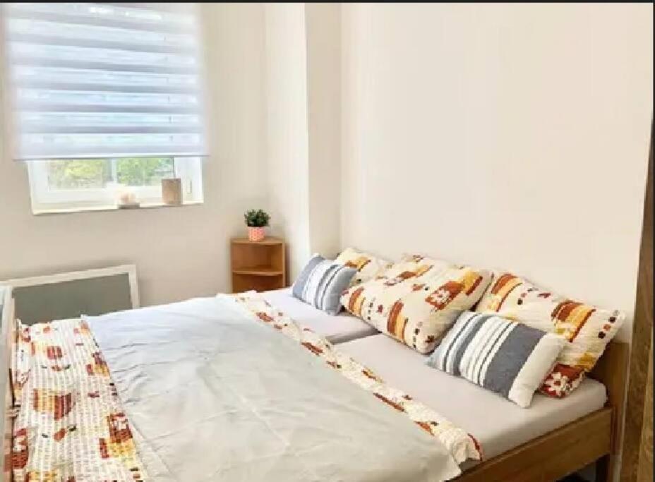 Utulny Byt V Jizerskych Horach -Apartman Mili Kořenov Dış mekan fotoğraf